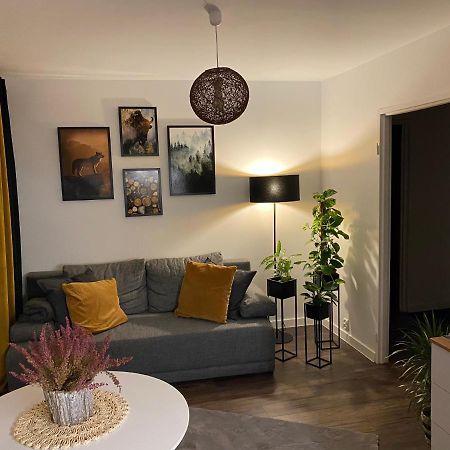 Wilcza Ostoja Bieszczady Apartment Ustrzyki Dolne Exterior foto